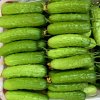 Fresh Cucumber Price 