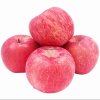 Wholesale Fresh Apples