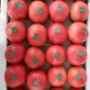 Bulk Chinese tomatoes