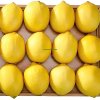 High Quality Fresh Lemon Suppliers