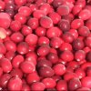 Frozen Wild Cranberries Whole