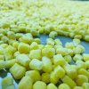 Frozen Sweet Corn Products.