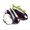 Eggplant Wholesalers