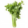 Fresh Celery Suppliers