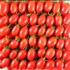 Tomatoes in stock