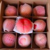 High Quality Fresh Peaches Suppliers