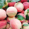 Wholesale Fresh Peaches