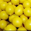 Fresh Lemon Wholesale