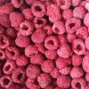 frozen red raspberries suppliers