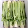 Organic Fresh Celery