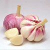 Healthy Fresh Garlic 