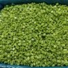 Frozen Diced Green Peppers Meeting Export Standards