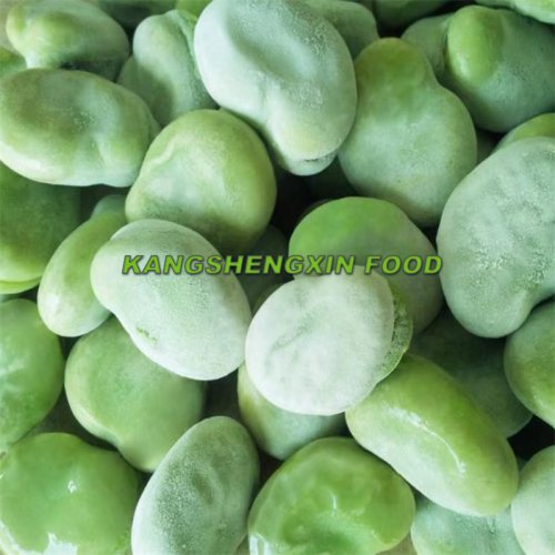 Frozen Broad Beans