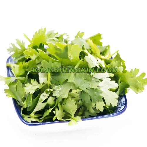 Frozen Coriander