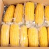 Frozen Corn Cobs In Stock