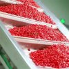 Bulk Frozen Red Goji Berries