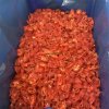 Frozen Jinta Chilli Meeting Export Standards