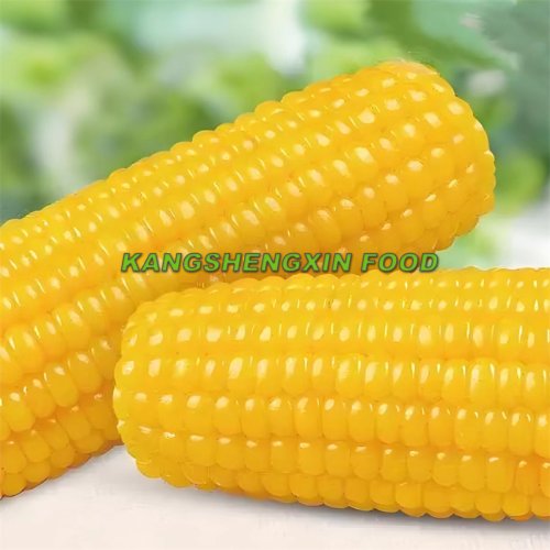 Frozen Corn