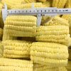 Cheap Frozen Corn Cobs