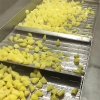 Frozen Potatoes  Meeting Export Standards