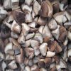 High Quality Frozen Shiitake Mushroom