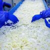 Frozen Onions Meeting Export Standards