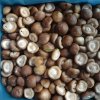 Cheap Frozen Shiitake Mushrooms