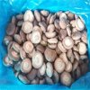 Bulk Frozen Shiitake Mushrooms