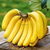 High Quality Fresh Banana Suppliers