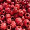 Cheap Frozen Hawthorn