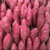 Fresh Sweet Potato Price