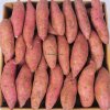 Healthy Fresh Sweet Potato