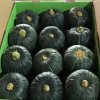 Pumpkins in stock