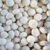 Wholesale Fresh Agaricus bisporus