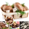 Frozen Shiitake Mushroom Products