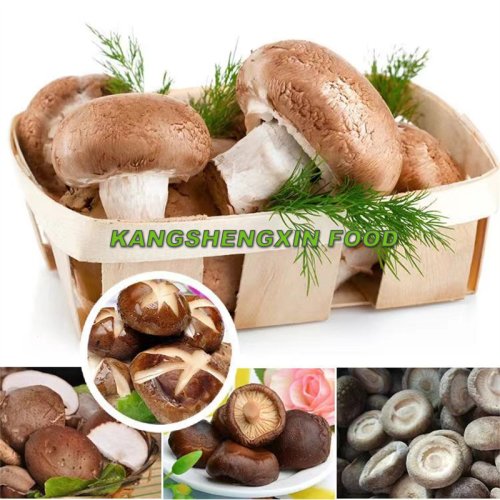 Frozen Shiitake Mushrooms