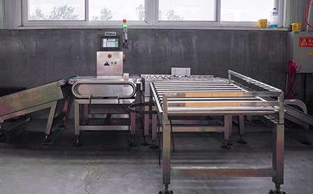 Automatic Sorting Electronic Scales