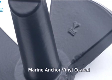 Y Brand Introduction