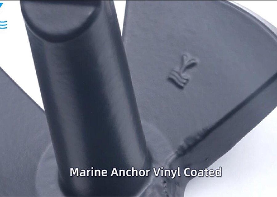 Y Brand Introduction