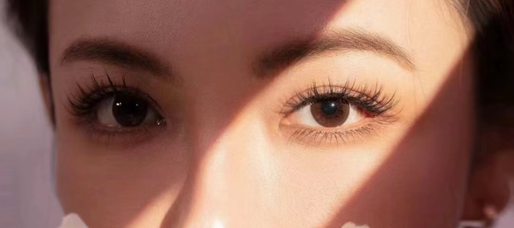 b12137ed47562b51818be35ecd14c7e