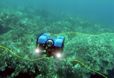 Across China: Underwater robots battle real-sea blues to boost marine ranching in China