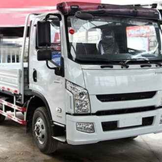 Hongyan 4x2 cargo lorry truck