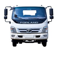 Foton light cargo lorry truck