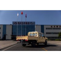 Warrior Single & Double Cab 4WD Pickup Truck | Export Diesel Off-Road Pickup