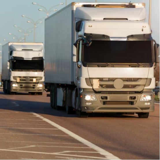 Cross-border vehicle sourcing risks and supply chain challenges