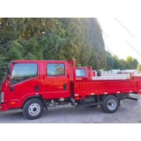 VR 42 双排载货车.1