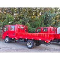 VR 42 双排载货车.4