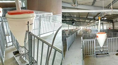 Plastic Dry Wet Feeder: An Innovative Solution for Efficient Feed Supply