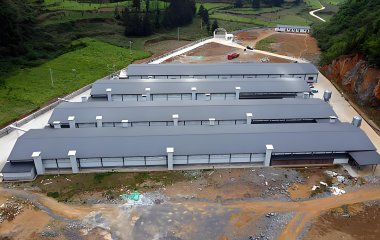 Poultry automatic breeding equipment