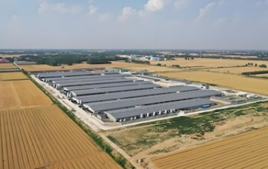 Pig automatic breeding equipment